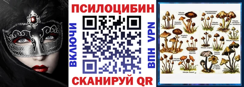 Галлюциногенные грибы GOLDEN TEACHER  Новоалександровск 